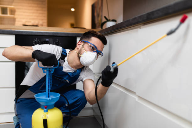 Best Bed Bug Extermination  in Lesslie, SC
