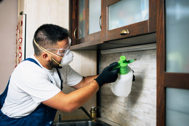 Best Local Pest Control Services  in Lesslie, SC