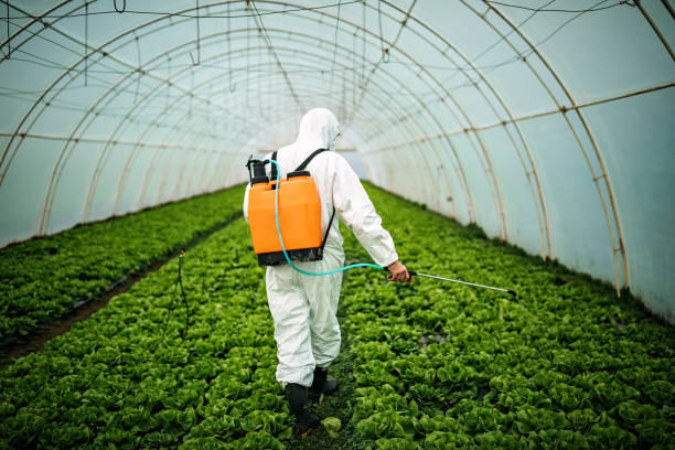 Best Best Pest Control Companies  in Lesslie, SC