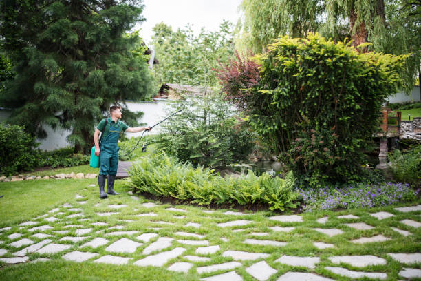 Best Pest Removal Services  in Lesslie, SC