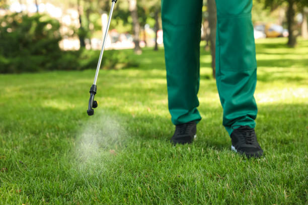 Best Wasp Removal Services  in Lesslie, SC