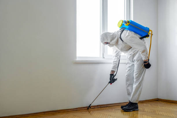Best Pest Prevention Services  in Lesslie, SC