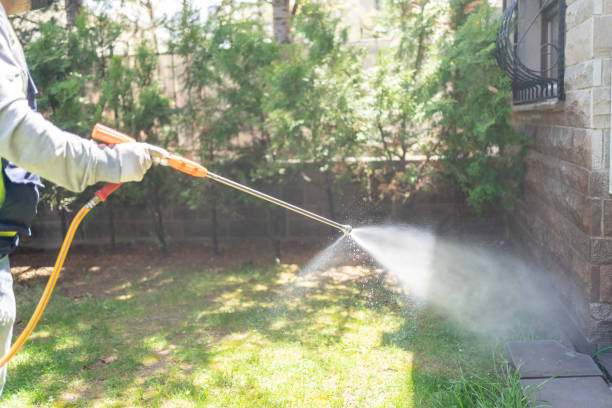 Professional Pest Control in Lesslie, SC
