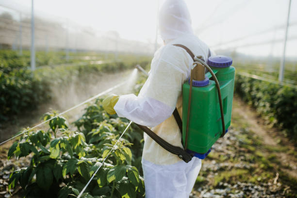 Best Ant Control Services  in Lesslie, SC